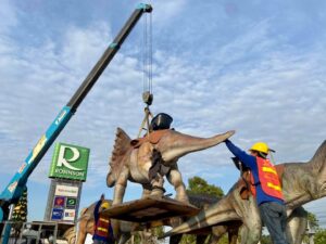 บริการ รถยกขนย้ายสุราษฎร์ธานี